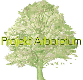 PA-logo-4096x4096 PA-logo-4096x4096